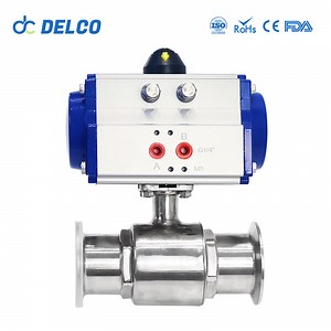 [Hot Item] DELCO Fluid Control 2 Way Stainless Steel Pneumatic Actuated Ball Valve