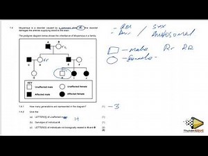 LIFE SCIENCES GRADE 12 PAPER 2: GENETICS, PEDIGREE: THUNDEREDUC BY M.SAIDI