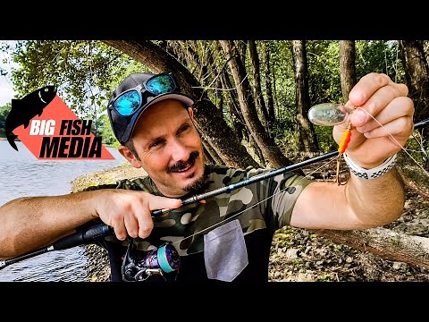 Basic Course | Fishing with Spinners