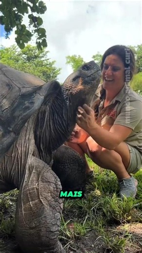 THEY LIVE OVER 100 YEARS. #curiosities #animals #wildlife
