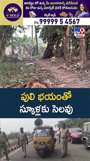 East Godavari : పులి భయంతో స్కూళ్లకు సెలవు - TV9