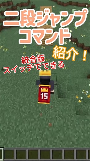 マイクラ２段ジャンプコマンド！