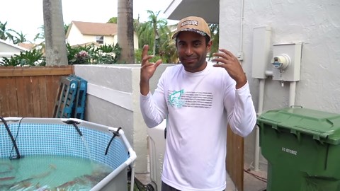 ORGANIZING 1,000 RARE KOI FISH!