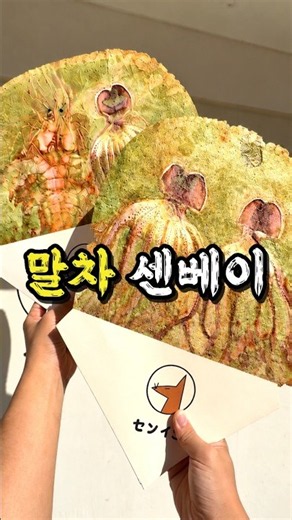 Korea's First Matcha Fossil Cracker