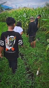 11M views · 1M reactions | Kisah Dika si bocah ular dari Banjaran Telah kami rangkum dalam sebuah Video edukasi Saksisak di Channel Youtube Panji Petualang ❤️ @moelgolodogsato @tukuemasid @aufapetualang_real @dedeinoen @heru.gundul @semestaarash @ar.kaw @kangden_kebonreptile | Muhammad Panji | Facebook