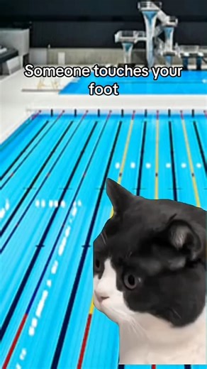 Solar Pool Ionizer on Instagram: "When you’re swimming peacefully and suddenly feel something brush your foot 😳🐠💀 Every swimmer’s worst nightmare 😂 #SwimmerProblems #SwimLife #PoolHumor #SwimmingMeme #RelatableSwimmer #SwimTeam #SwimTok"