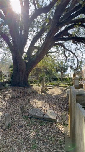 9.7K views · 361 reactions | The bells chiming from Saint Phillips, while visiting the graveyard at the Circular Congregational church, Charleston, SC | A lady called Johnna | Facebook