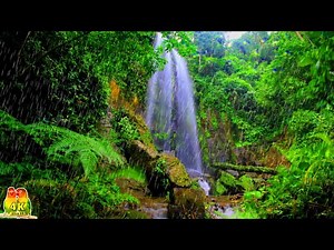 "Rainforest 4K Ultra HD: Soothing Jungle Nature Sounds"