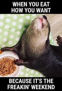 60K views · 1.5K reactions | Live it up! | A Plus | Facebook