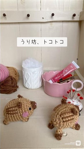 あみぐるみうり坊兄弟、お裁縫道具をぴょんぴょん探検#shports