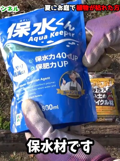 ズボラさんでもできるワンランクあがる庭作業園芸超人カーメン君ガーデニング初心者 - 10