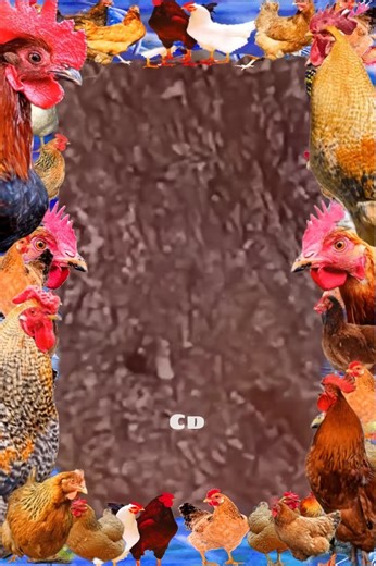 I’M GOOD (BLUE) official video OUT NOW 🥳🥳 | Portal Berita