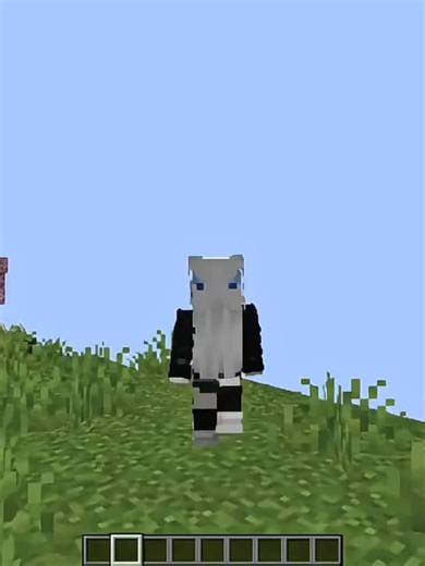 Shader Java für Minecraft mit PojavLauncher