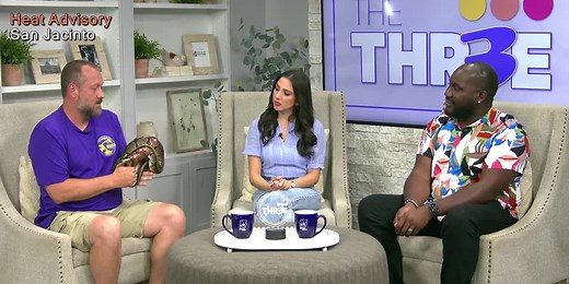 Meet Exotic Pets at this Herps & Reptile Show