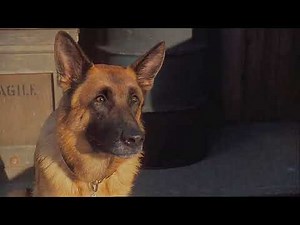 Cats & Dogs: The Revenge Of Kitty Galore: Butch Confronts Diggs (2010)