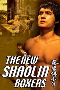 The New Shaolin Boxers - Movie