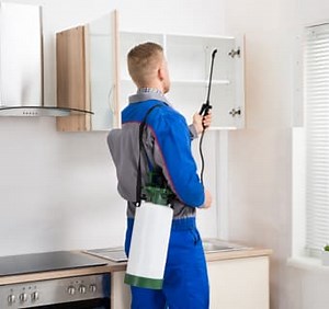 Residential Pest Control Vancouver | Pesticon Pest Control