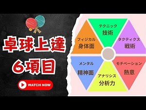 【卓球公認コーチ２有資格者が解説】卓球上達のための６項目を解説！【学生、指導者は必見です】