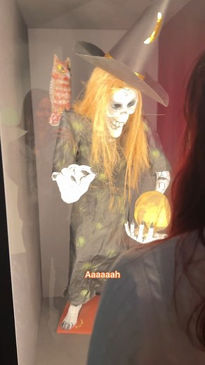 Zwischen Glaube und Wissen, Spektakel und Geheimnis - bis zum 7. April 2026 könnt ihr die neue Ausstellung im Übersee-Museum erleben. ✨ | Bremen.de