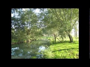 ELIZABETHAN SERENADE