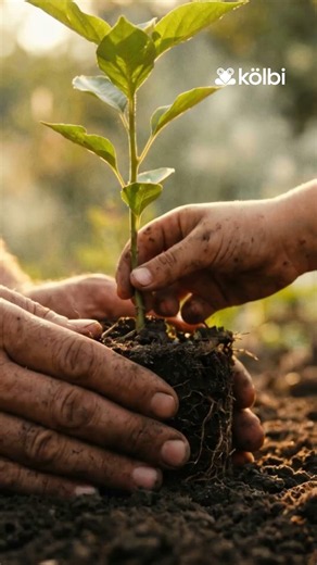 Nuestra conexión más profunda tiene raíces 🌿 ​Hoy y siempre, orgullosos de vivir entre tanta vida.