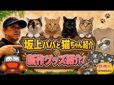 坂上パパによるニャンコ紹介〜Part2〜【さかがみ家最新グッズ紹介！】