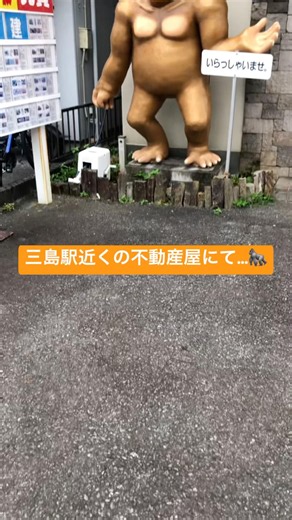 完全に目が◯んでる…🦍 #おすすめ #静岡県 #ギャグマンガ日和