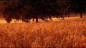 2003 - Jeepers Creepers 2