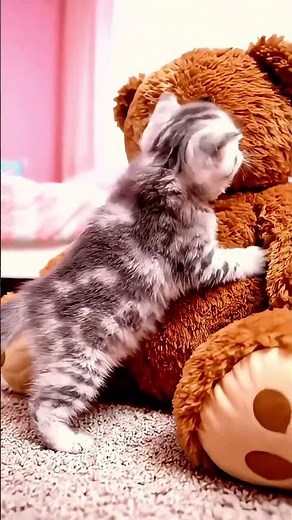 🐱 Kitten Tech Disasters 😹 Gadget Chaos @MeowMoments225 #cutecats #cat #familyfriendly