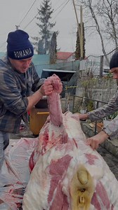 18K views · 24K reactions | Metodă simplă fără cuțit #porci #pork #pig #traditional #butcher | Ana Ionescu | Facebook