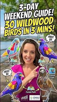 Portland’s Best FREE Family Adventure[Wildwood Crow Scavenger Hunt]🐦‍⬛3Day weekend ❓1DayCrow-A-Thon