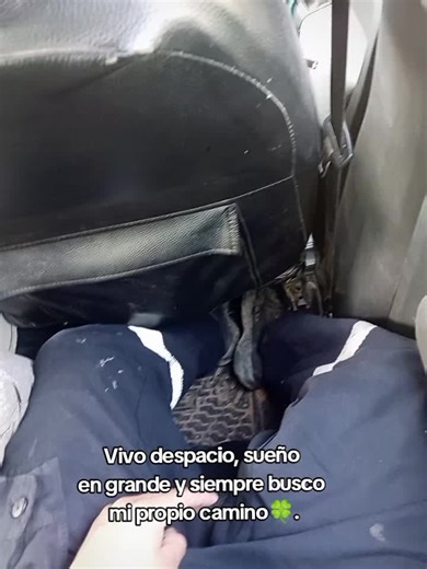 #flyppppppppppppppppppppppppppppppp #viral #paratiiiiiiiiiiiiiiiiiiiiiiiiiiiiiii