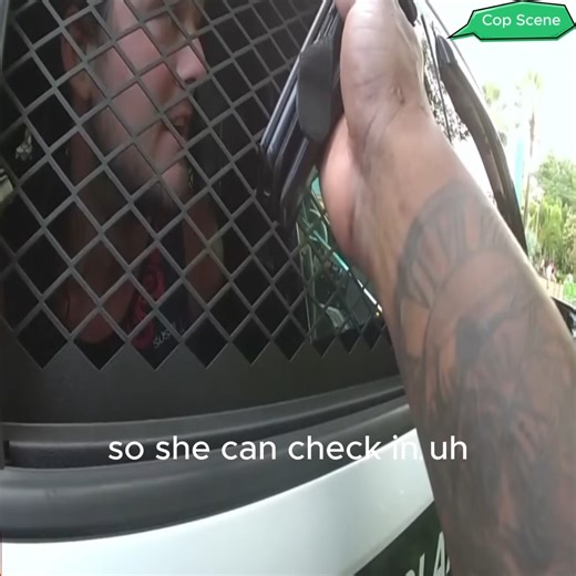 Why you don't punch another guest at Universal Studios - Vacation gone wrong! Part 5 #shorts #CopScene #Cop #Reel Join our group: https://www.facebook.com/groups/750720107316917 | Cop Scene