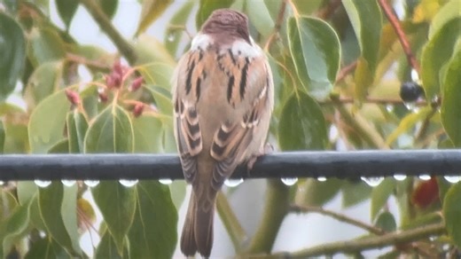 【MoYu54】新作上線，快來看看！