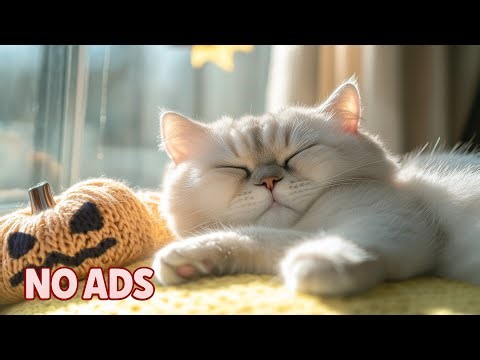12 Hours Of Relaxing Cat Music 🐈 Cozy Cat Dreams ♬ Peaceful Sounds for Restless Felines