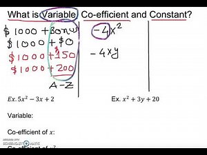 What Are Variables, Coefficients, and Constants?