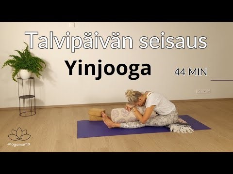🌑 Talvipäivän Seisaus Yinjooga & Meditaatio 44 Min | Virtsarakko- ja Munuaismeridiaanit 💦