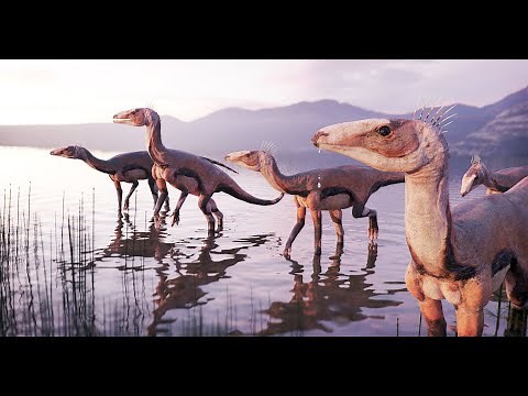 Silesaurids and the Evolution of Ornithischian Dinosaurs
