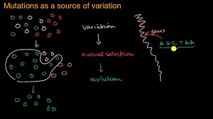 Mutation as a source of variation