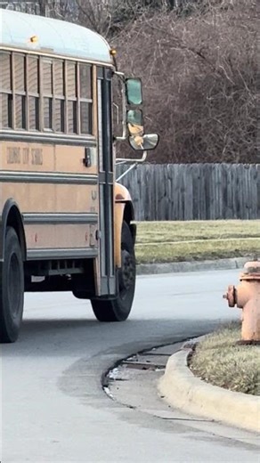 Bus 189 passing by for the 9th time