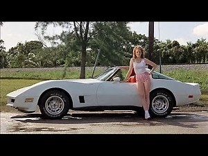 '80 Corvette C3 in A Night in Heaven