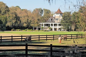 Magnolia Plantation & Gardens | Charleston area | Charleson.com
