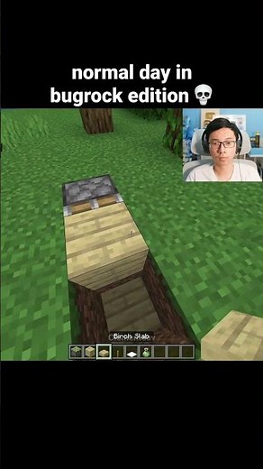 Minecraft Bugrock Moment