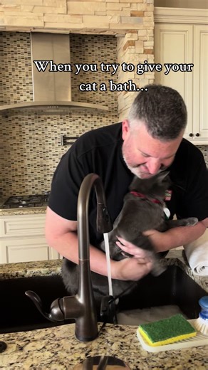 #catsoftiktok #bathingcats #funnyvideos #funny #funnycats #viralvideo #viral #catslovers #cattok #cat #texas #inandoutburger #dadsoftiktok #laugh
