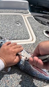 Fishing cut bait offshore in the gulf for my dinner! #fishing #saltwaterfishing | Bama Saltwater