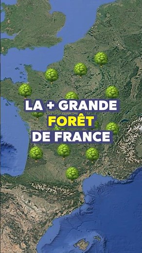 Quelle est la plus grande forêt de France ? 🌳 #shorts