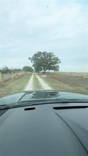 🏡 Walk-Through Wednesday: 1551 205th Street, Fort Scott, KS Country living with modern updates! ✨ Main Home - Turn-of-the-century farmhouse beautifully updated throughout - Refinished hardwood floors tasteful modern touches - Remodeled kitchen with oak cabinetry, quartz countertops & stone tile backsplash - Spacious updated bathroom - 2 bedrooms off a large living room cozy pine-paneled den - Mudroom & laundry right off the back door - New central heat & air for year-round comfort - High-speed 