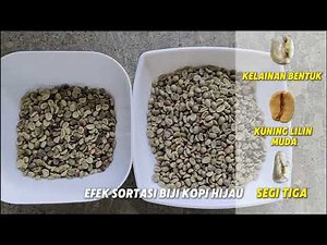 AI Coffee Sorting, 99.9% Pure Beans!