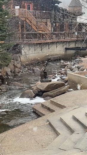 ❄️ Estes FINALLY Got Some Snow… But Come On, Where's the Real Stuff? Last Tuesday… I'm standing by Fall River in Estes… And it starts snowing. And yeah… I got excited. Because after how DRY this winter's been? Any snow is worth celebrating. ❄️💧 But let's be real… This was a TEASE. Light flurries. A dusting at best. The kind of snow that makes you think "okay, cool… but where's the REST of it?" 😂 Don't get me wrong… Watching snowflakes fall over Fall River was BEAUTIFUL. The river flowing. The