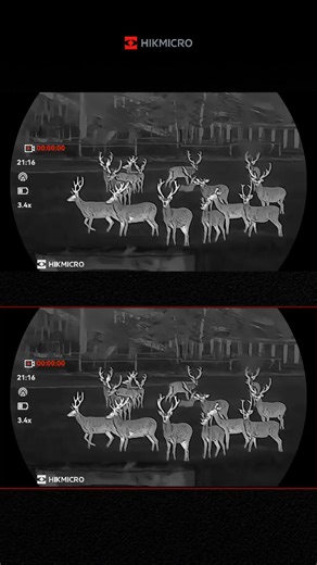 Get ready, hunters! HIKMICRO’s new thermal monocular featuring top-tier shutterless tech will soon be available. It gives pro-level value and performance. What are you waiting for? FB: https://bit.ly/RewriteEntryLevelStandards_FB YT: https://bit.ly/RewriteEntryLevelStandards_YT #HIKMICRO #HIKMICROHunting #HIKMICRONew #RewritingEntryLevel #thermalmonocular | Wild & Jag / Game & Hunt